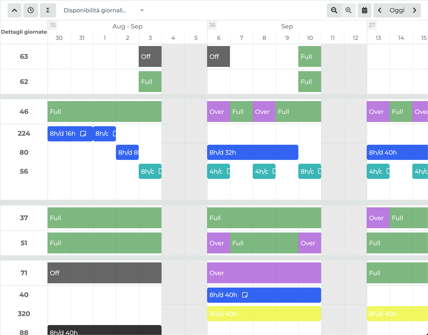 Planning detail in the Nosco Agile Planner Planning